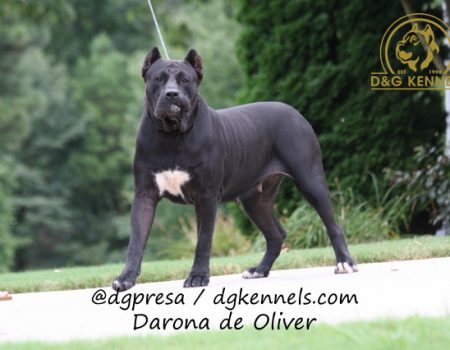 Darona De Oliver (11)