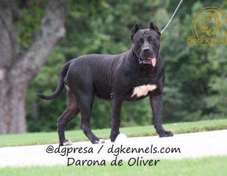 Darona De Oliver (3)