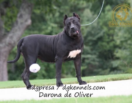 Darona De Oliver (4)
