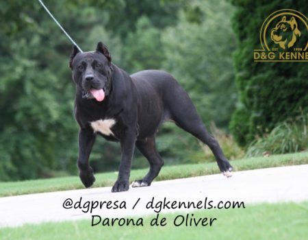 Darona De Oliver (5)