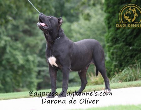 Darona De Oliver (6)