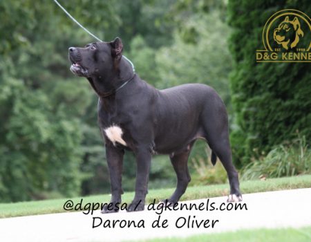 Darona De Oliver (7)
