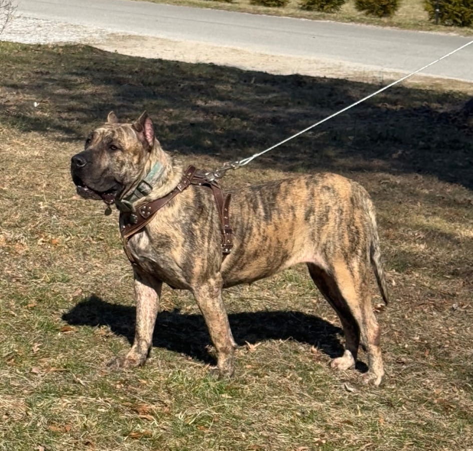 Hera