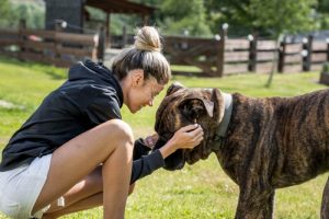 Smiling,young,woman,hugging,her,dog,presa,canario,outside,in