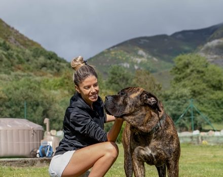 Beautiful,young,woman,playing,with,her,dog,presa,canario,in